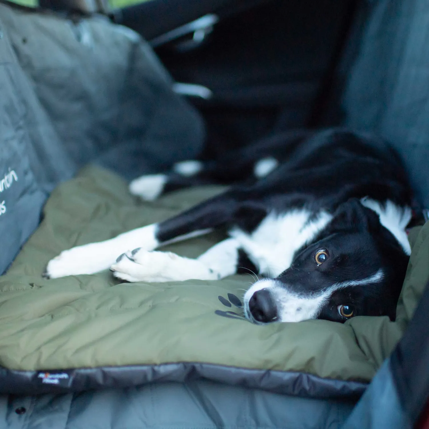 Mountain Paws Travel cuccia cane da viaggio leggera