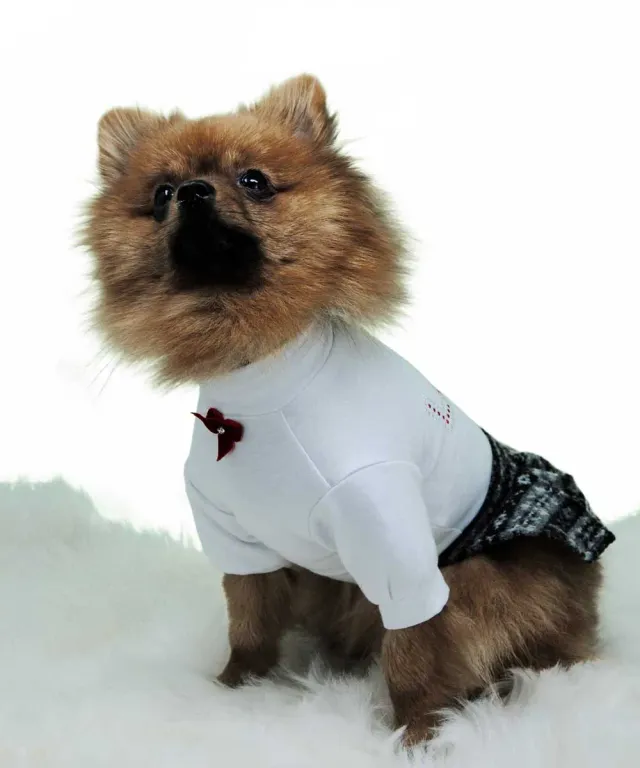 Royal Dog Love vestitino cane lana caldo