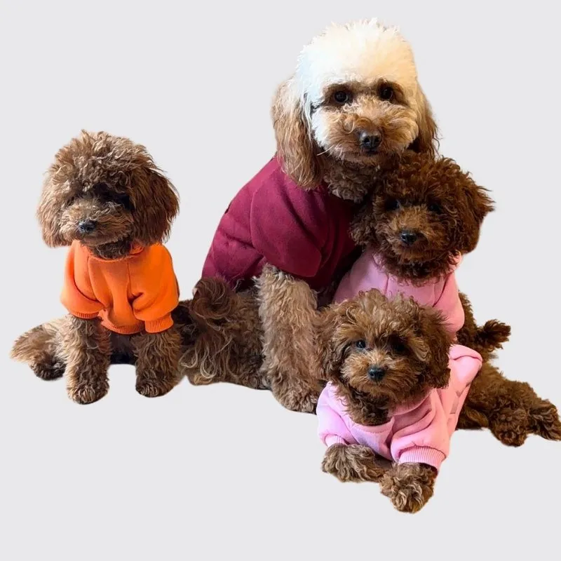 LabArt Dog Signature felpa per cani con nome ricamato