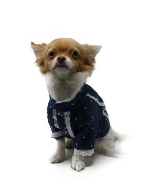 Royal Dog Korean Shirt camicia cane denim pizzo