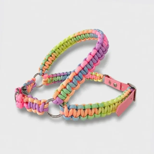 LabArt Dog Y 2.0 Agrigento pettorina paracord biothane