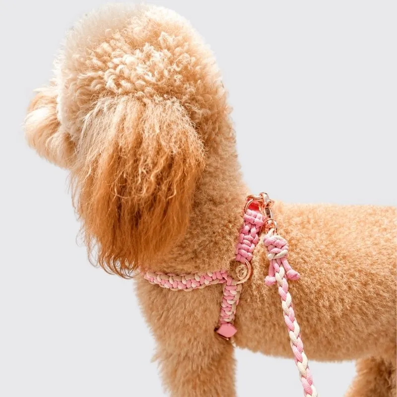 LabArt Dog Y 2.0 Neocobra pettorina cane biothane