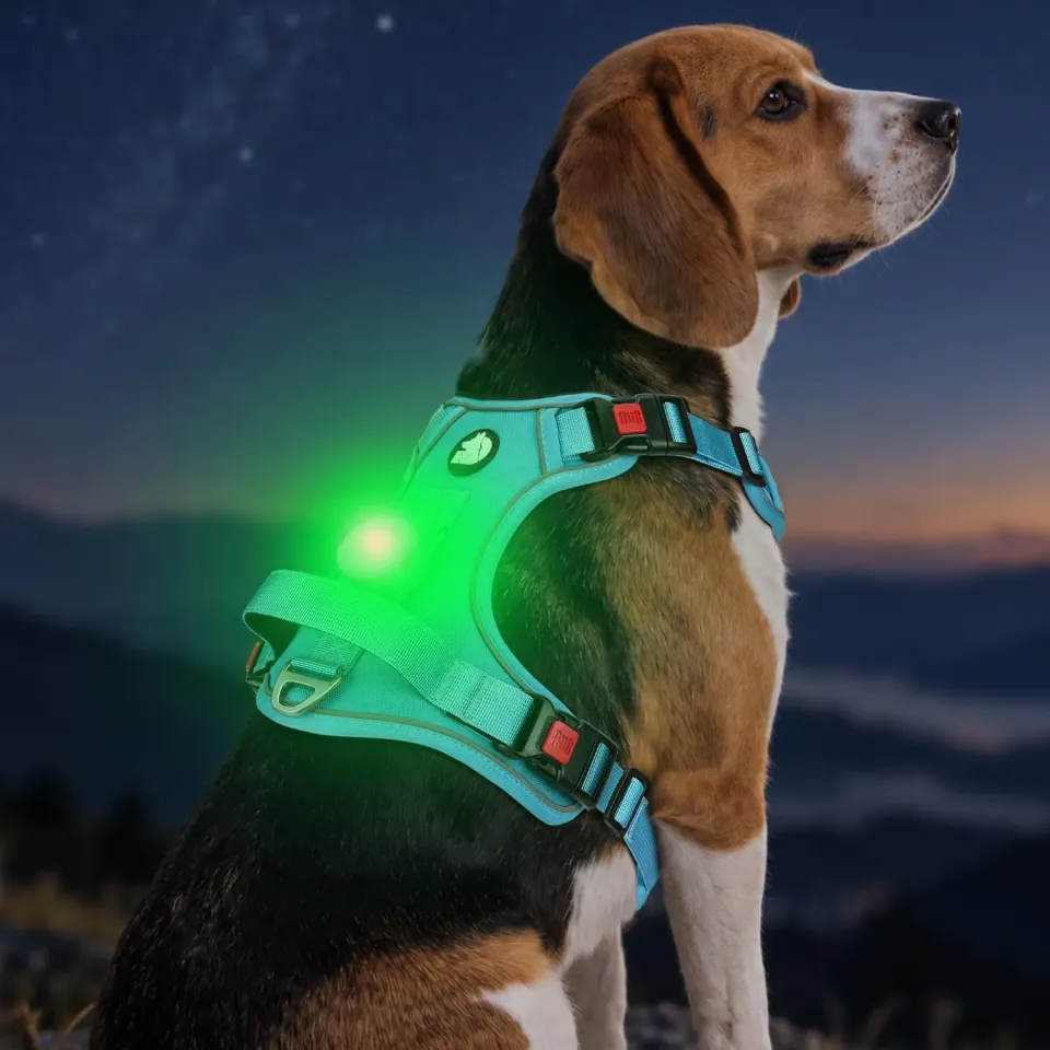 Joytale Pettorina LED Anti Tiro Blu M con Porta AirTag