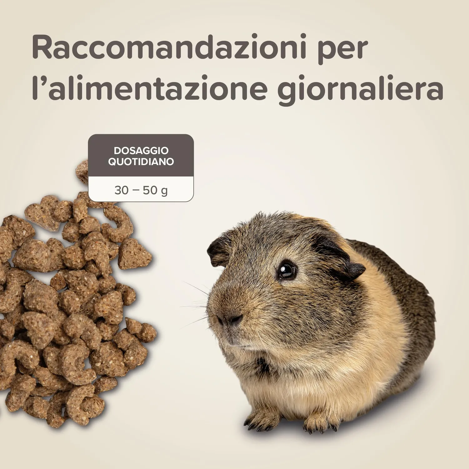 Beaphar Care+ Mangime Porcellini d'India 1,5 kg Estruso