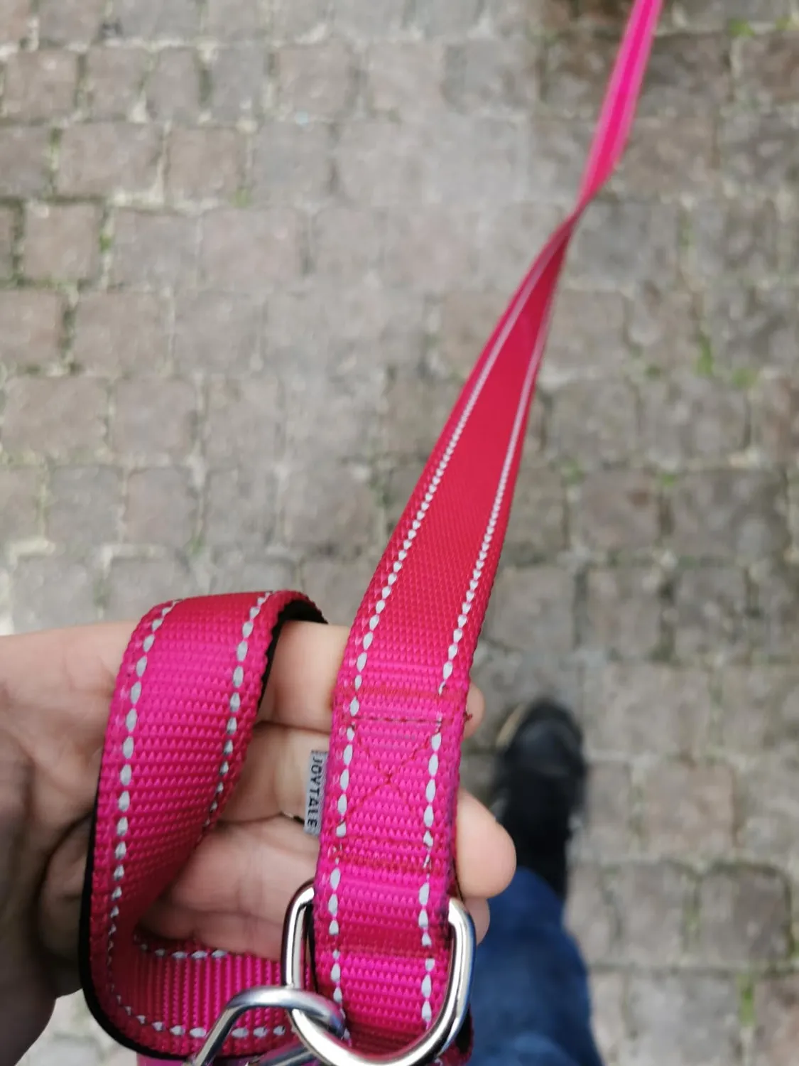 Joytale Guinzaglio Catarifrangente Turchese 1,8 m x 2,5 cm Imbottito