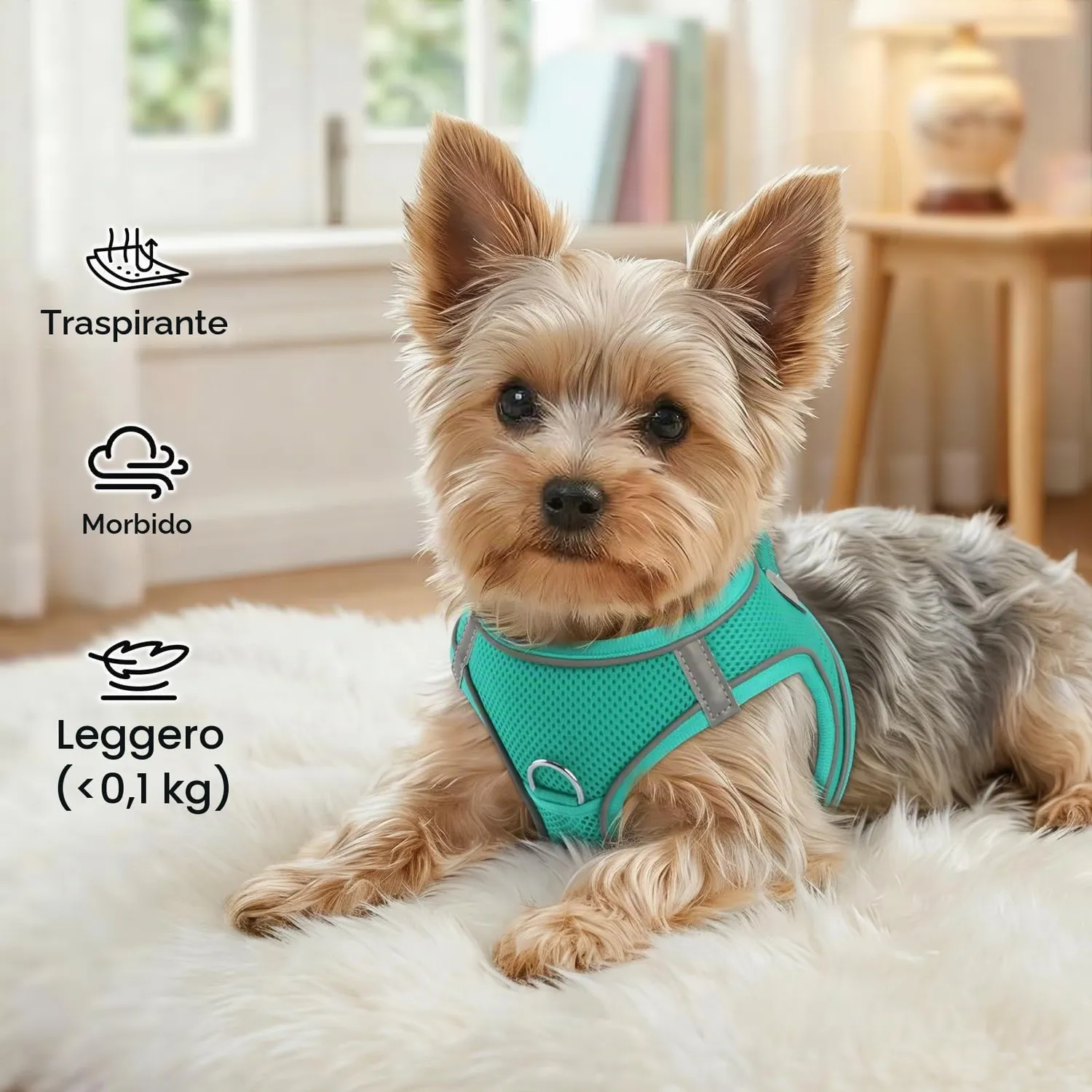 Joytale pettorina cane verde acqua S traspirante anti-soffoco