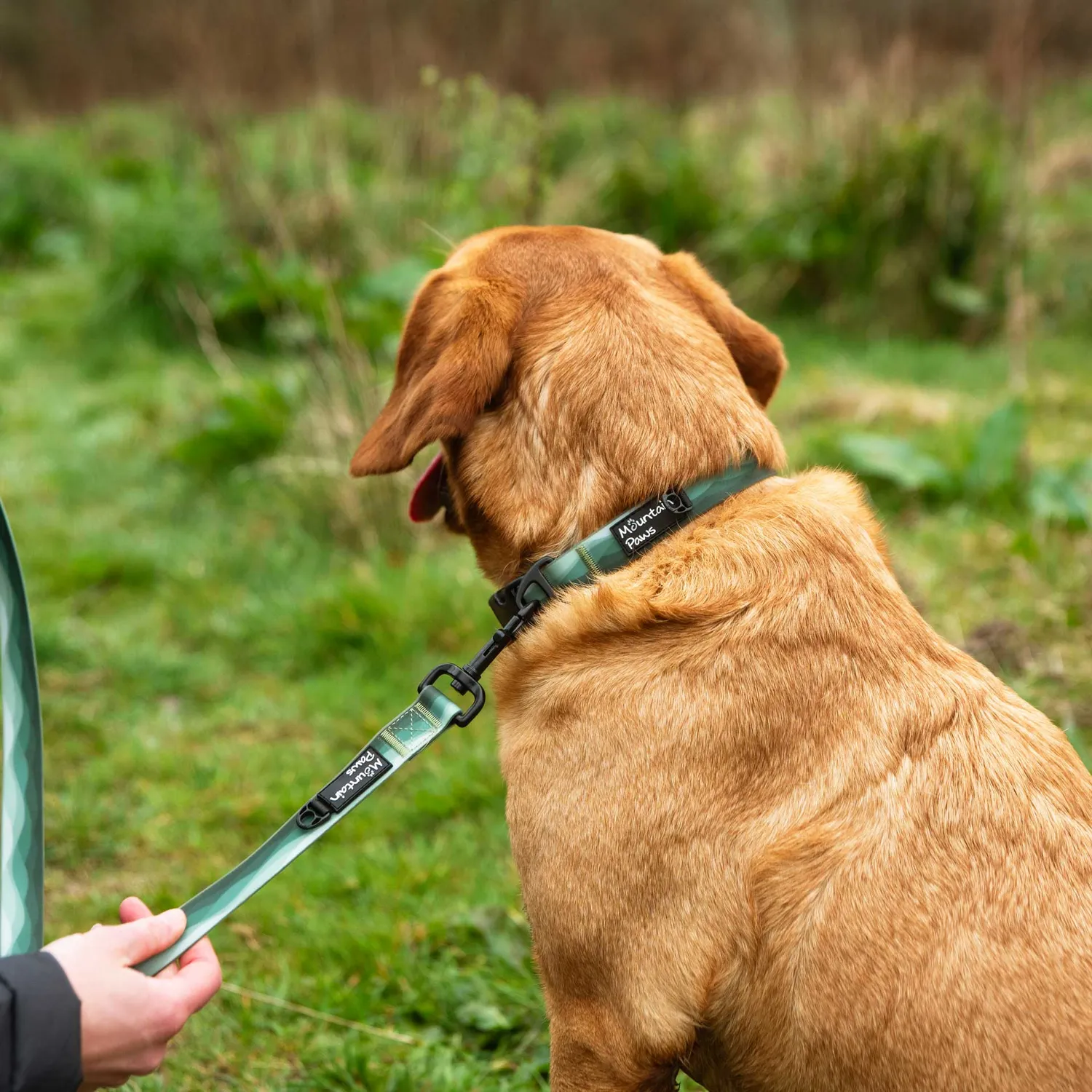 Mountain Paws Lead guinzaglio impermeabile per cani