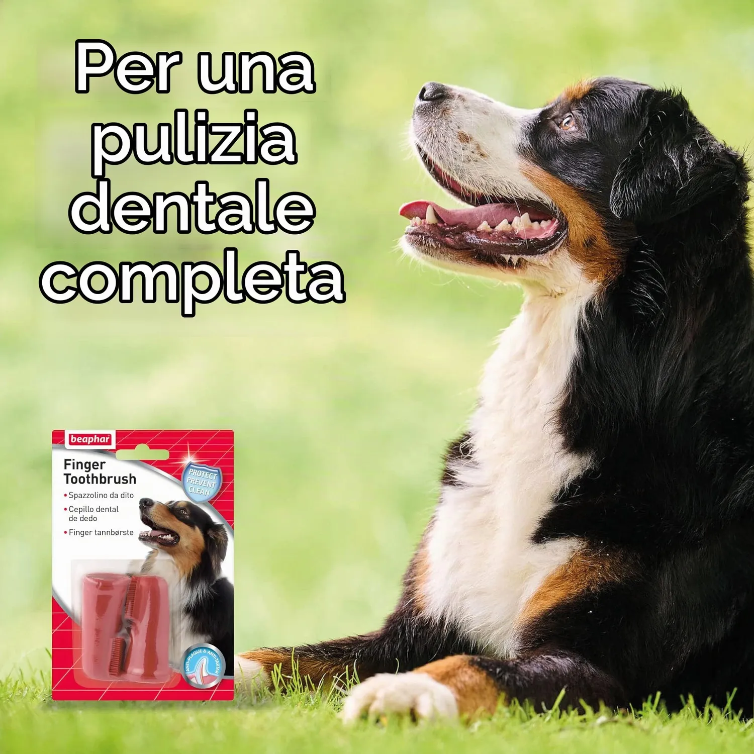 Beaphar Spazzolino da Dito spazzolino morbido cane placca