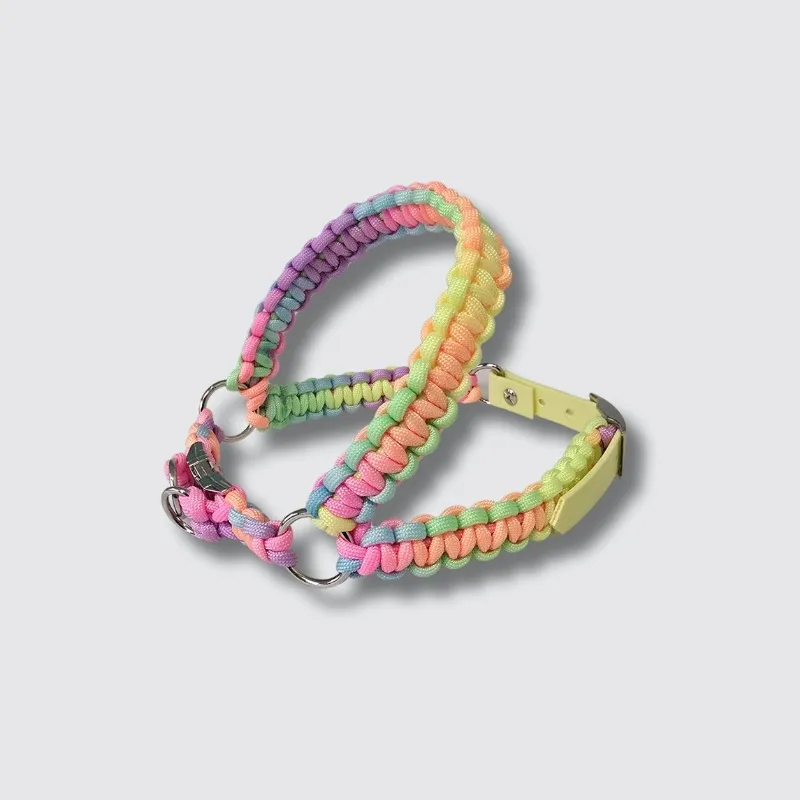 LabArt Dog Y 2.0 Agrigento pettorina paracord biothane