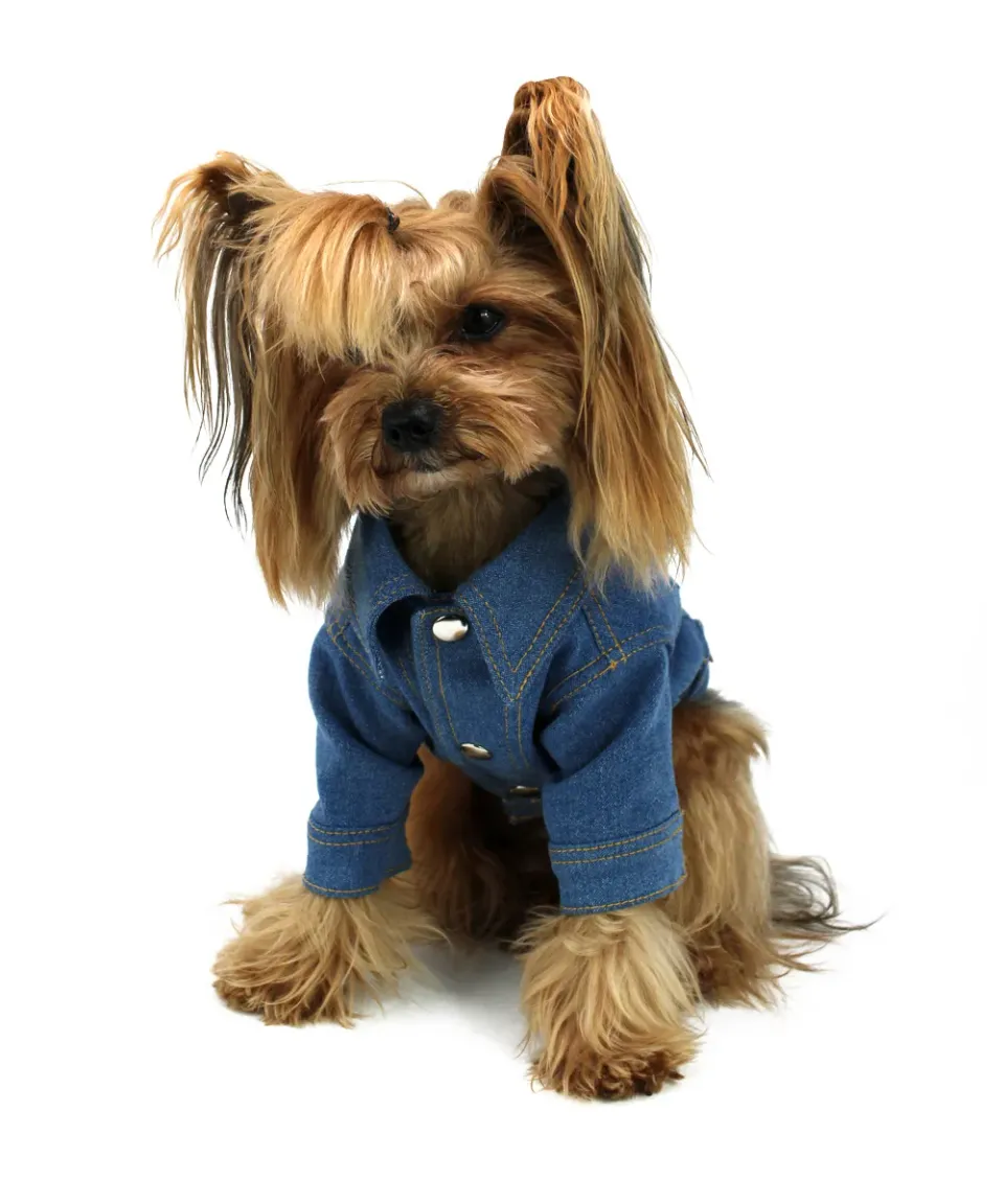 Royal Dog Jeans giubbino cane denim unisex
