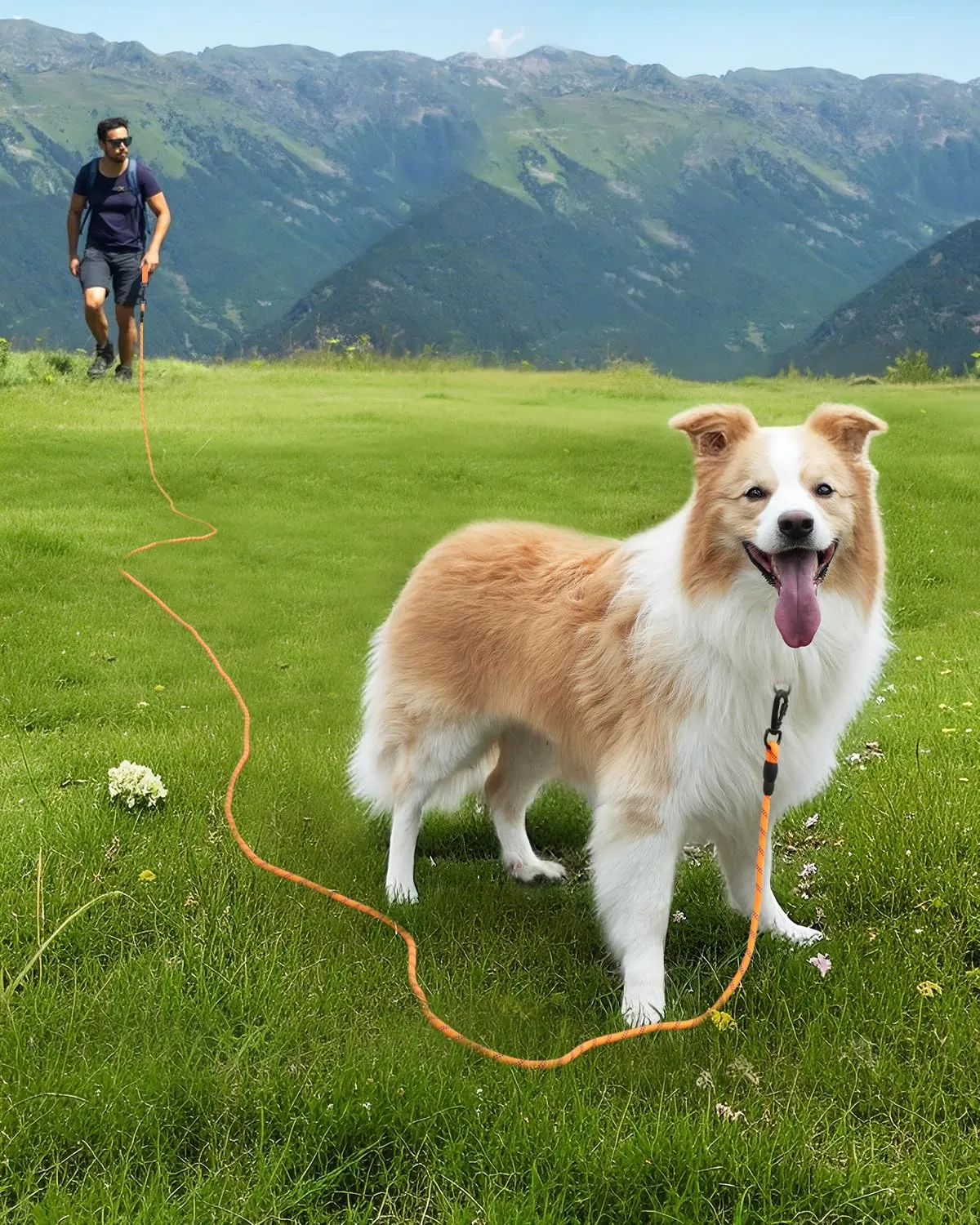 Joytale Guinzaglio Corda Addestramento Cane 5 m arancione