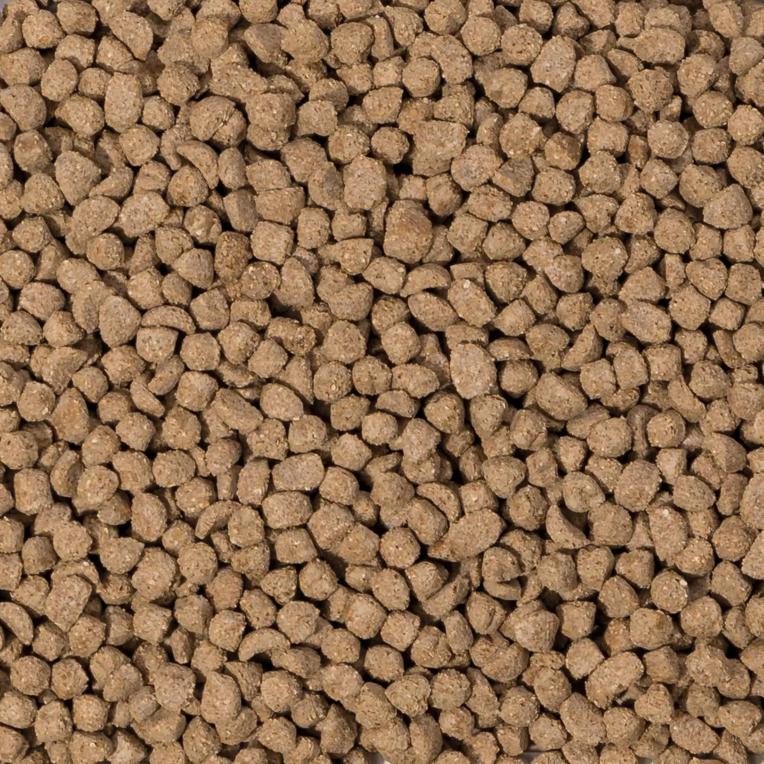 Beaphar Care+ Criceto Nano Mangime 250 g Fibre