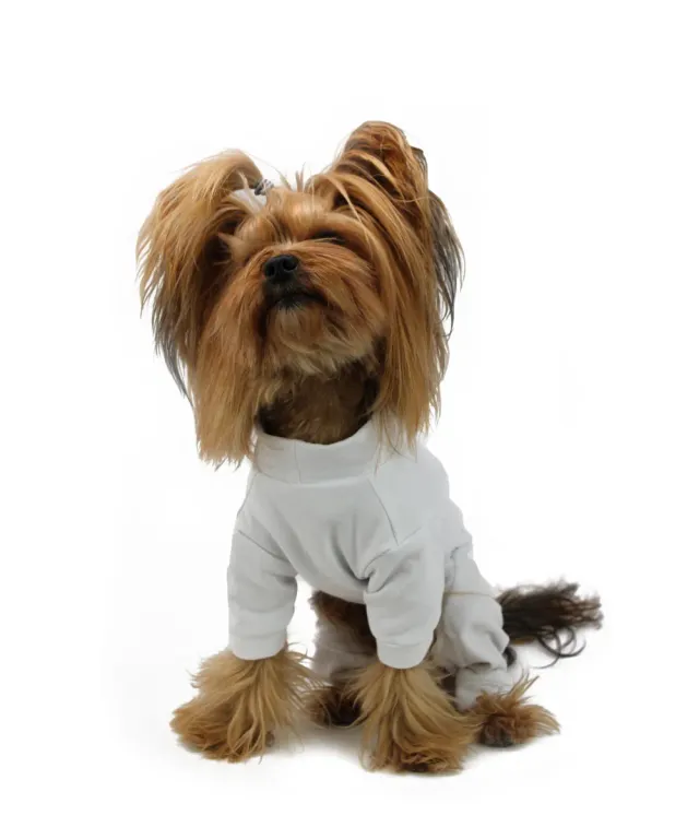 Royal Dog Basic tutina cane bianca cotone felpato