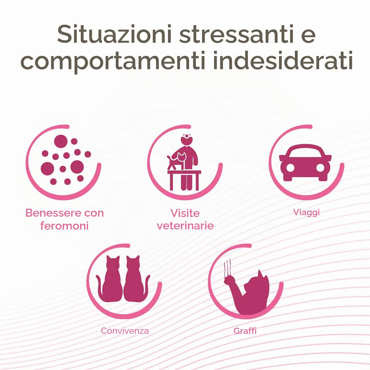 Beaphar CatComfort Spray Gatti 60 ml ai feromoni