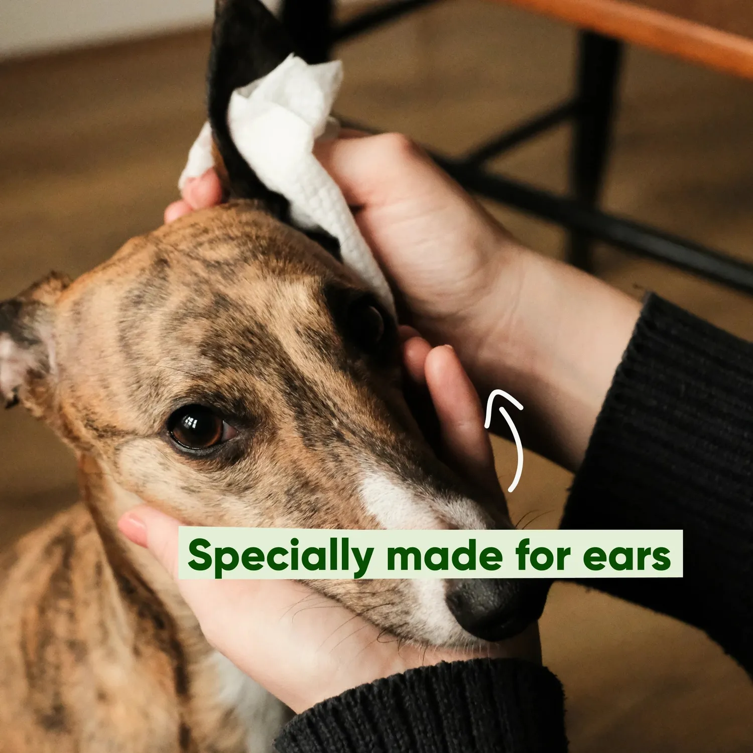 Beco Pets Salviette Pulizia Orecchie Cane Cocco