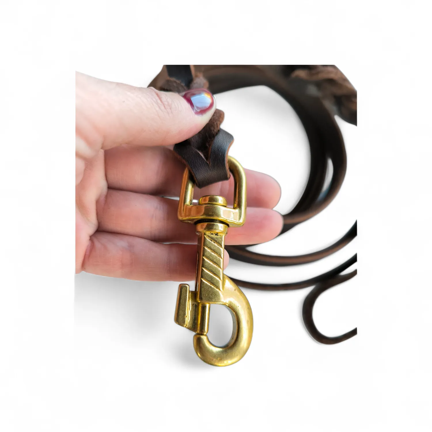 Anja for Dogs Cuoio guinzaglio 2,7 m ottone