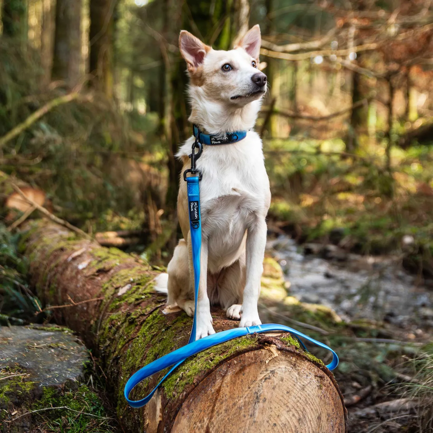 Mountain Paws Lead guinzaglio impermeabile per cani