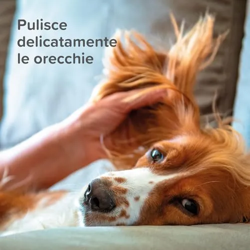 Beaphar Pulisci Orecchie Cane Gatto 50 ml MSM