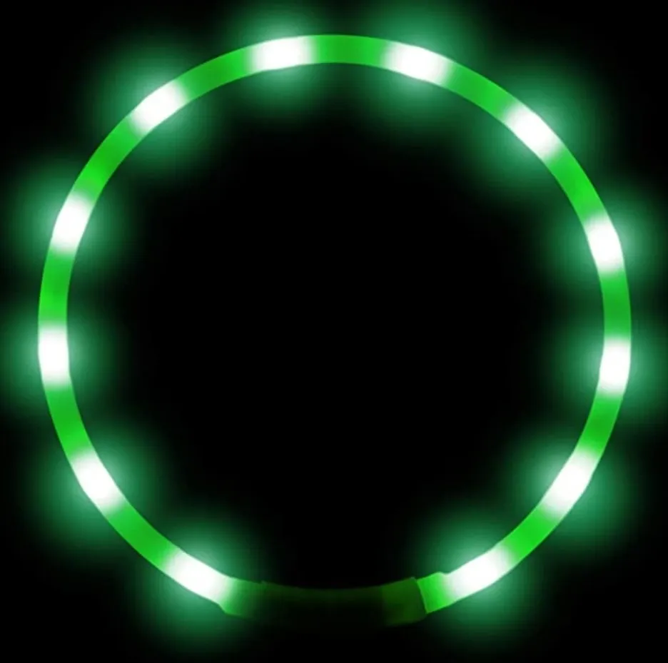 Joytale Collare luminoso LED blu USB taglia unica 70 cm visibile