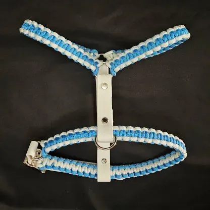 LabArt Dog H Custom pettorina su misura paracord