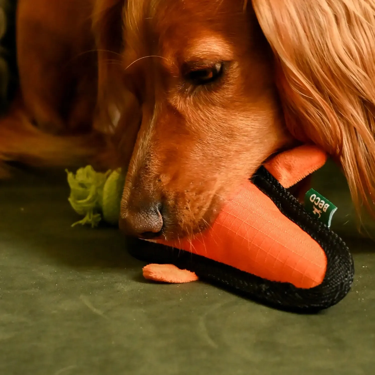 Beco Pets Carrie Carota peluche cane con squeaker e corda