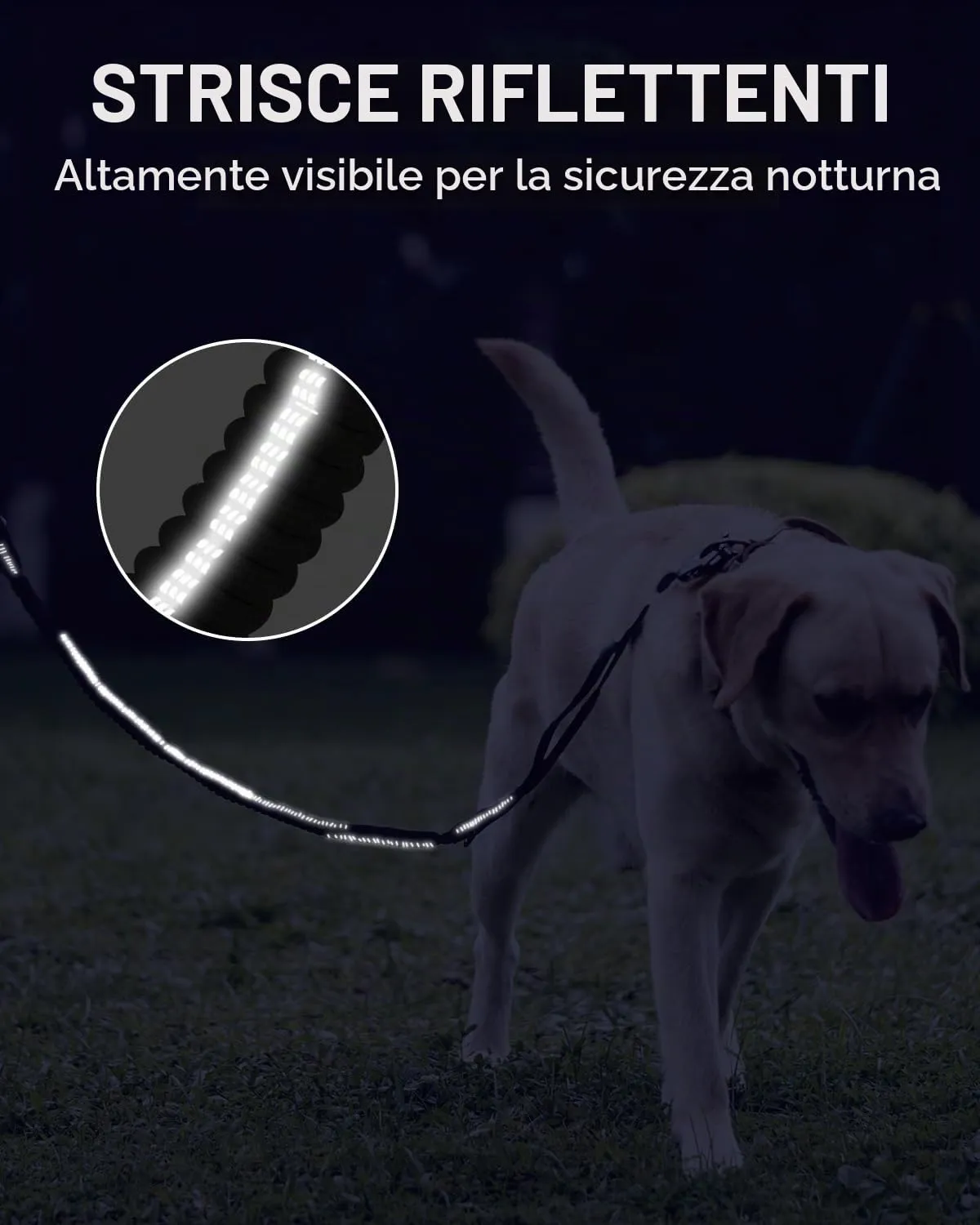 Joytale Tattico guinzaglio bungee nero 1,2-1,8 m ammortizzato