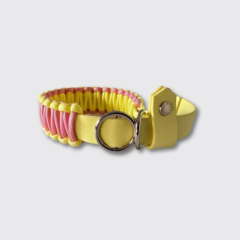 LabArt Dog Retriever Biopar collare Tokyo martingale