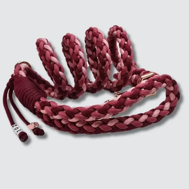 LabArt Dog Loop guinzaglio paracord 8 fili