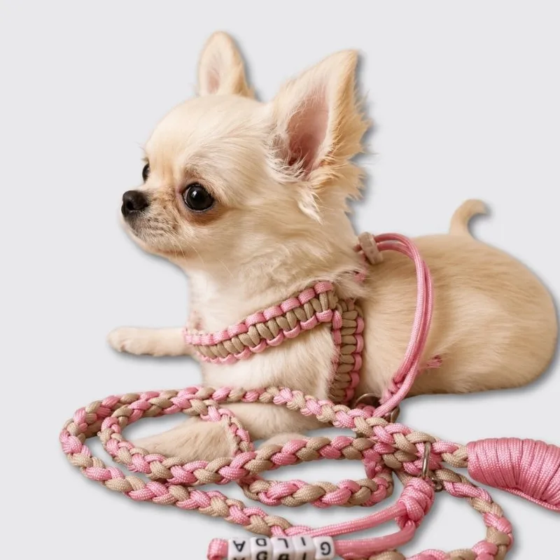 LabArt Dog Kit Cucciolo guinzaglio e collare mini toy
