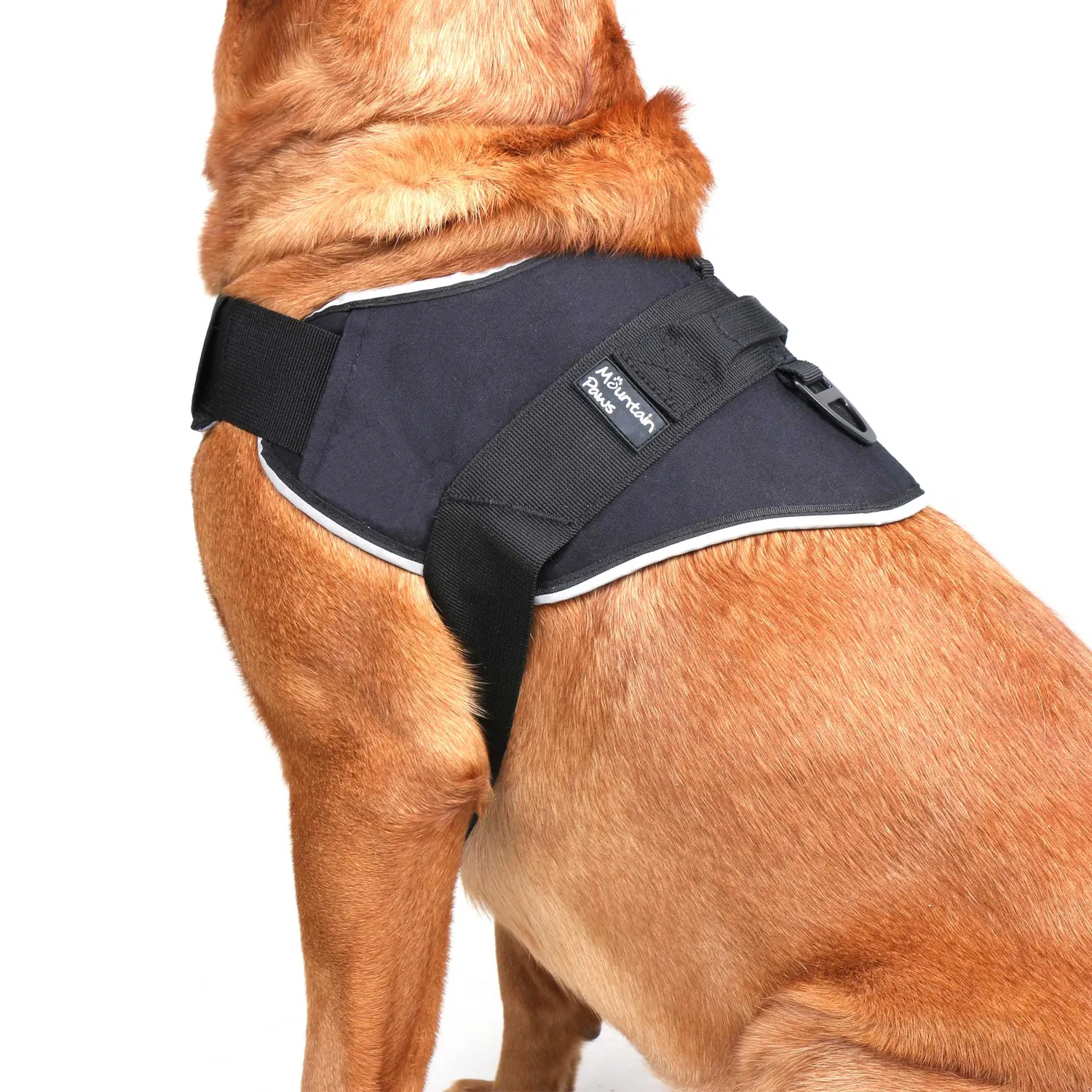 Mountain Paws Extra Tough pettorina cane robusta