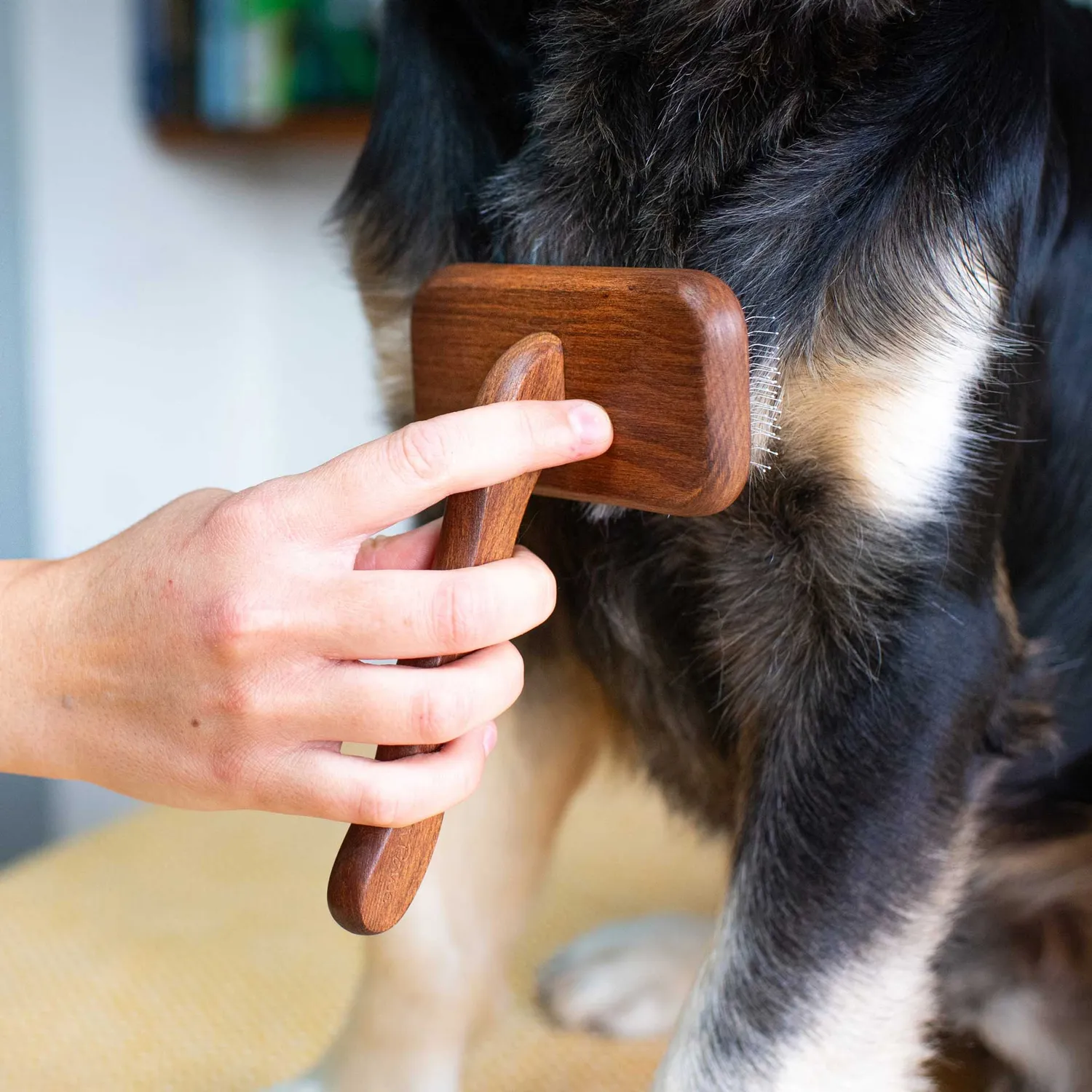 Mountain Paws Pin Dog Brush spazzola a spilli per cani