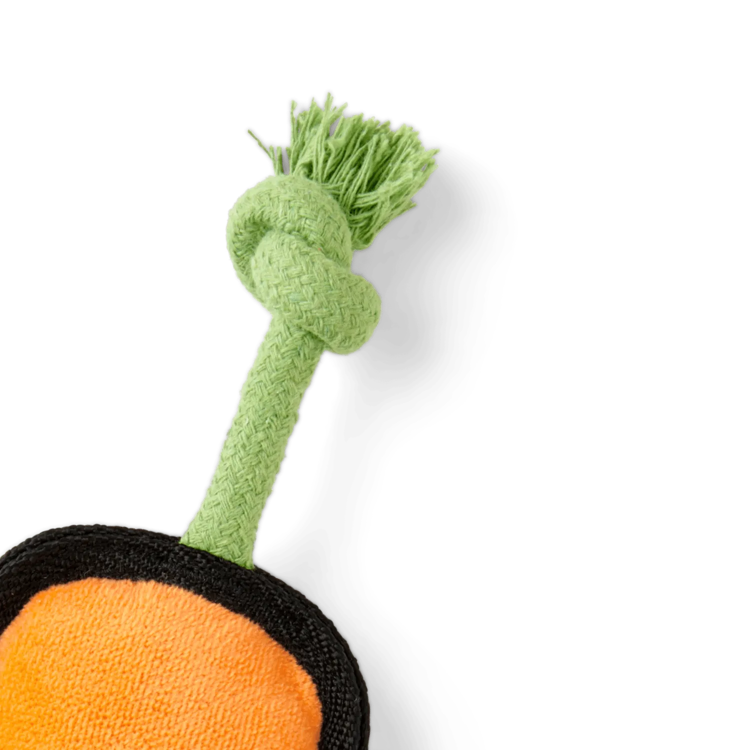Beco Pets Carrie Carota peluche cane con squeaker e corda