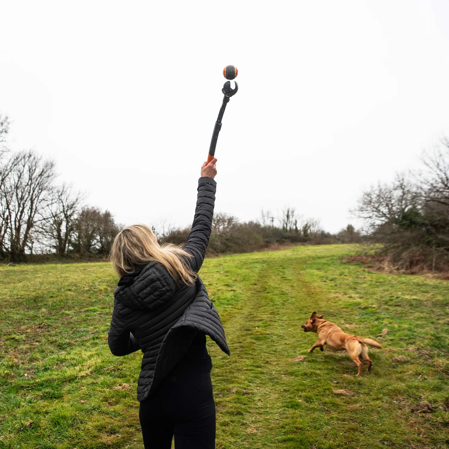 Mountain Paws lanciapalla cane telescopico con pallina