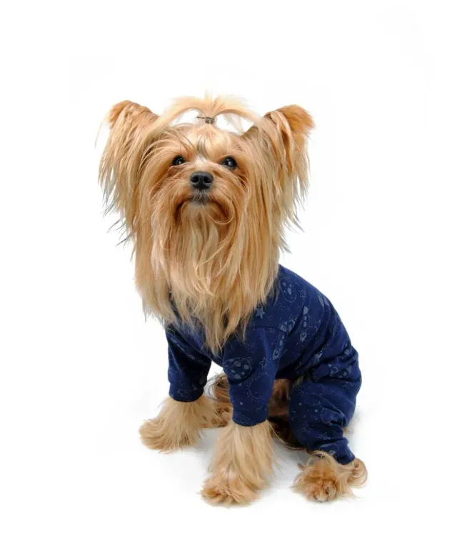 Royal Dog Planet pigiamino blu luminescente cotone