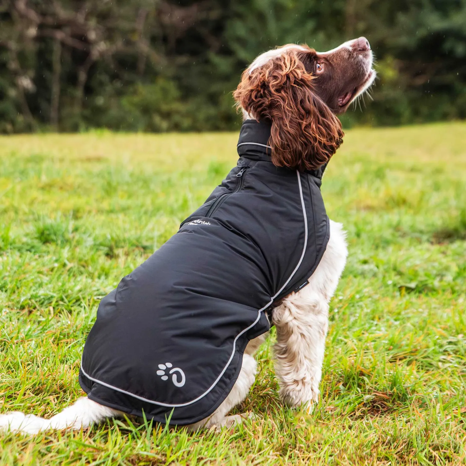 Mountain Paws Fleece Lined cappotto cane nero impermeabile