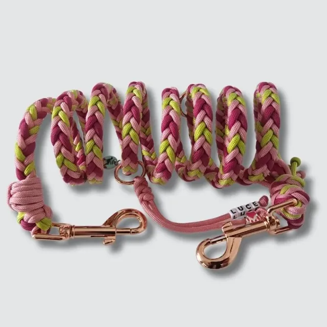 LabArt Dog 8 fili guinzaglio addestramento paracord taglia media