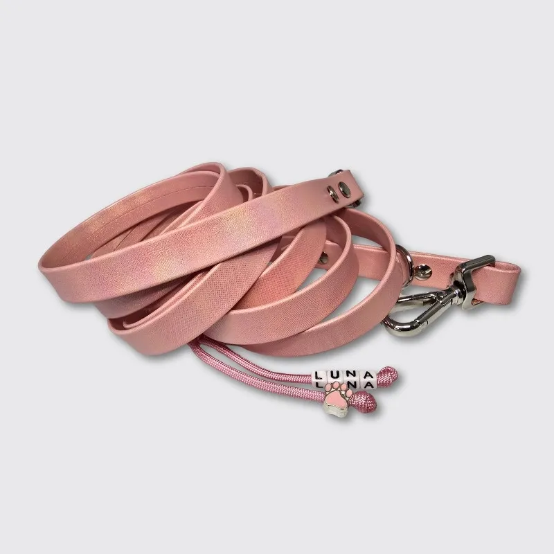 LabArt Dog Heritage guinzaglio ecopelle argento