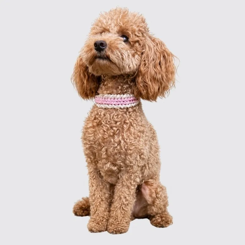 LabArt Dog Dolly collare paracord toy Ibiza