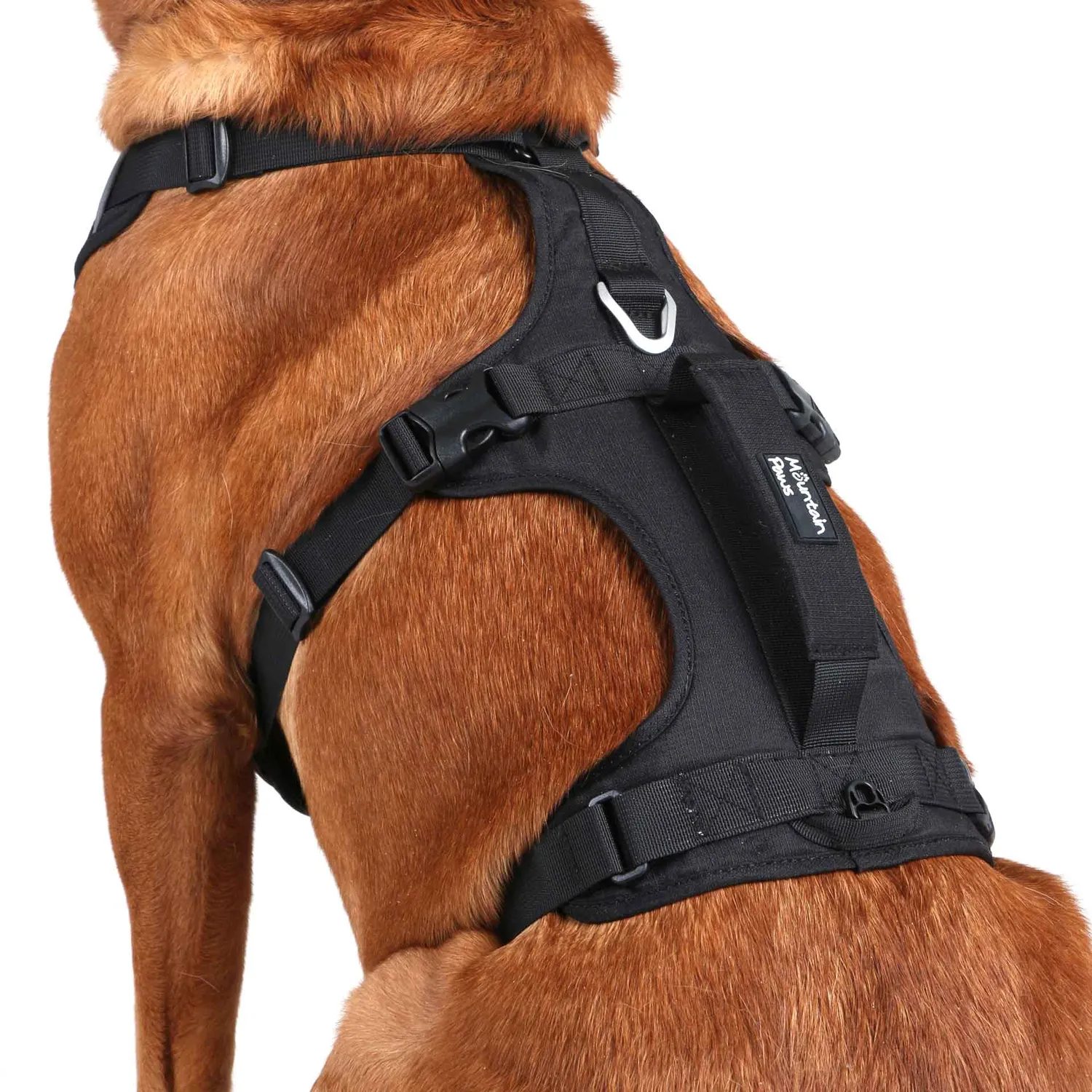 Mountain Paws 3 Strap pettorina per cani regolabile