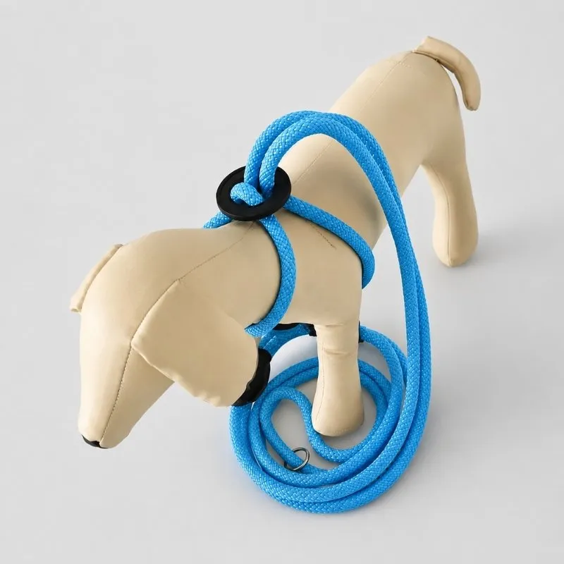 LabArt Dog EasyStride guinzaglio corda azzurro 10 mm