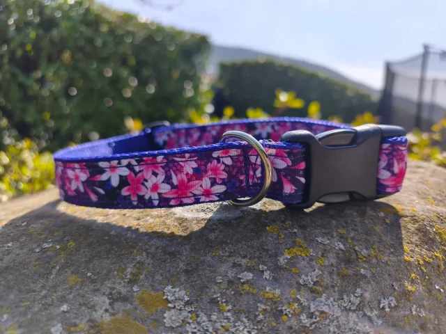 Anja for Dogs Fiori collare fucsia viola 2,5 cm