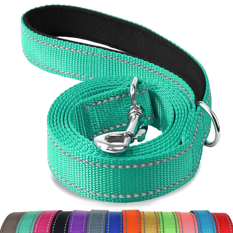 Joytale Guinzaglio Catarifrangente Turchese 1,8 m x 2,5 cm Imbottito