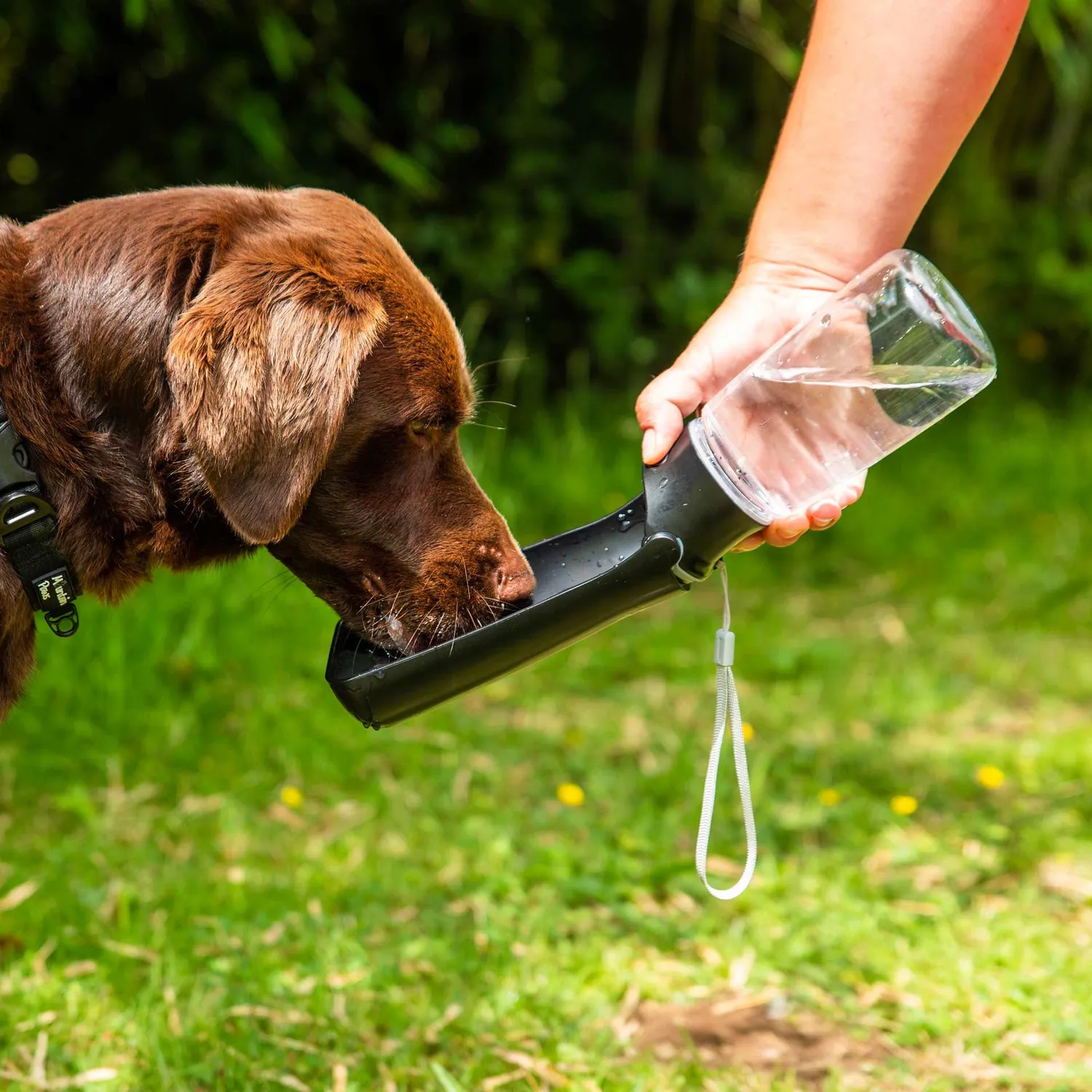 Mountain Paws Borraccia Cane Pieghevole con Ciotola