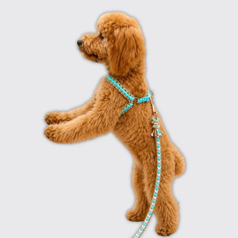LabArt Dog Y 2.0 pettorina paracord e biothane idrorepellente