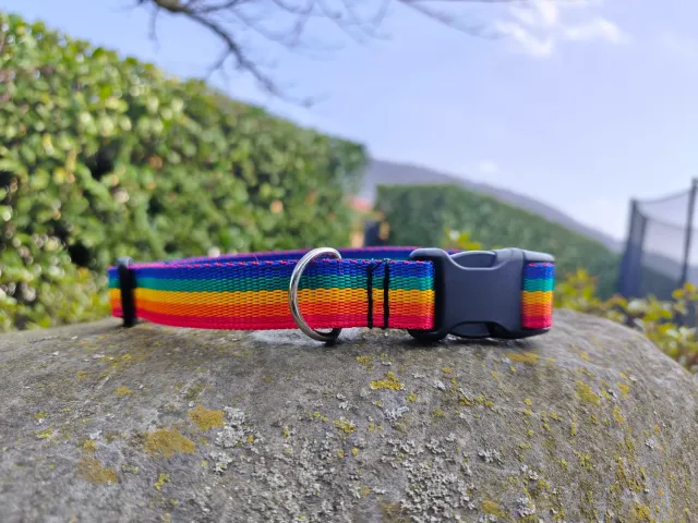 Anja for Dogs Rainbow collare regolabile 40-65 cm