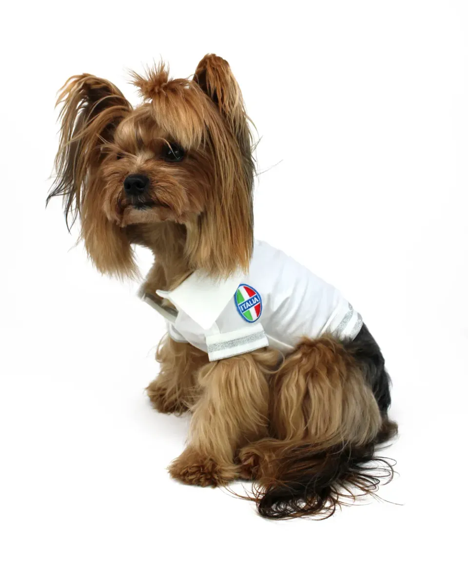 Royal Dog Polo Italy polo cane lurex stemma
