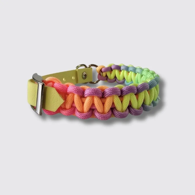 LabArt Dog Lead Rope Toy 4 fili guinzaglio paracord toy