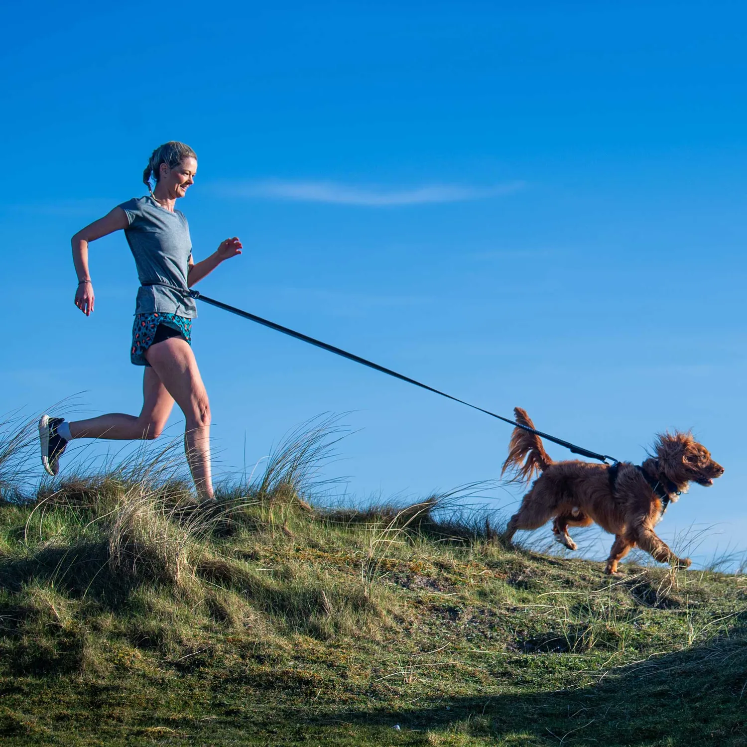 Mountain Paws Shock Absorber guinzaglio ammortizzato running