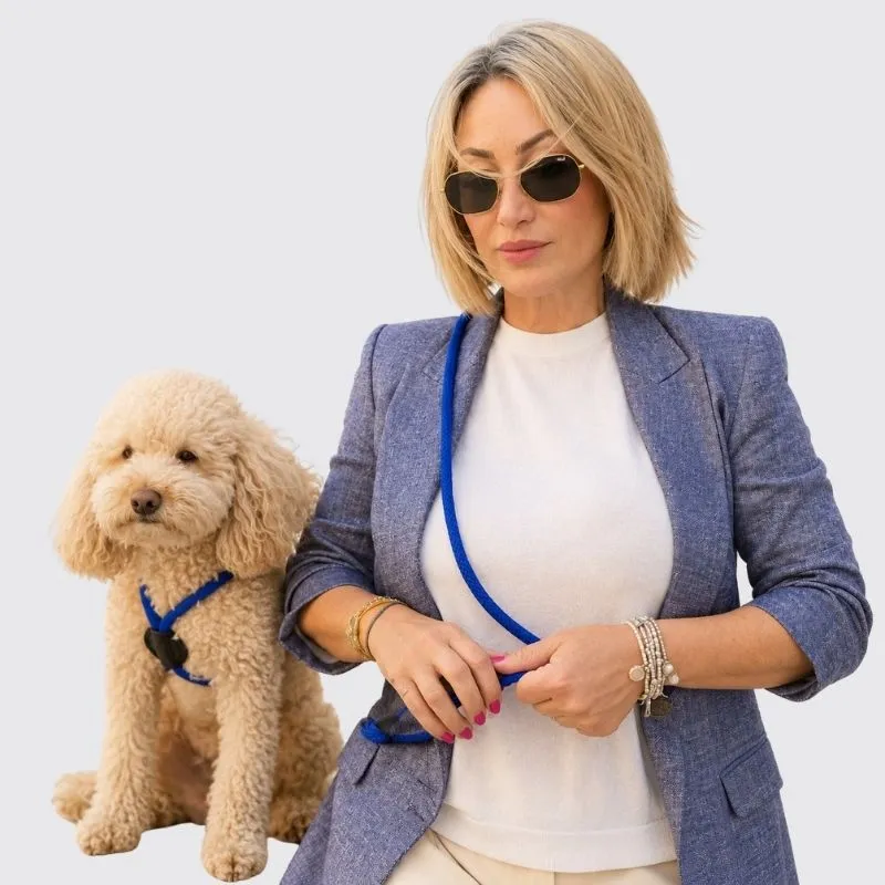 LabArt Dog EasyStride Denim guinzaglio in nylon 10 mm