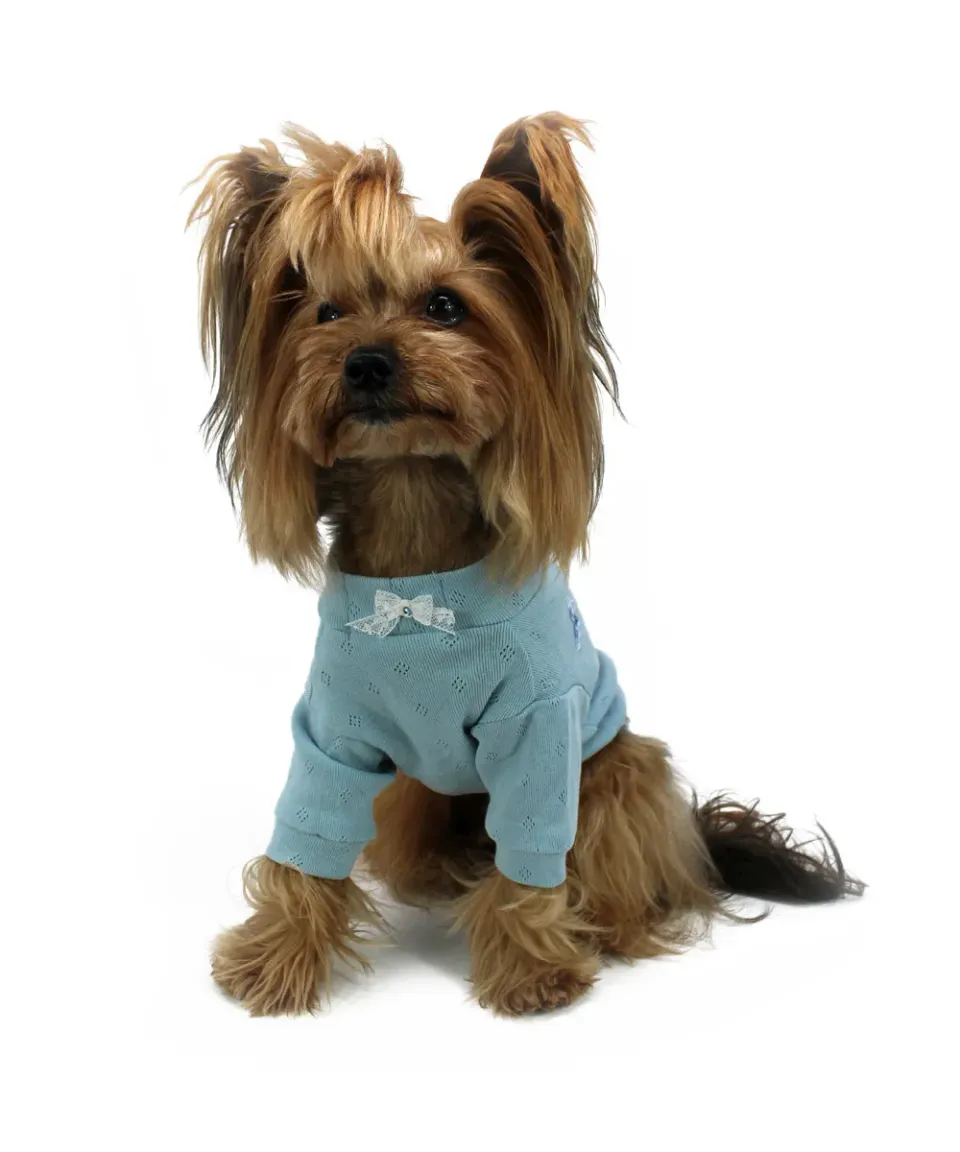Royal Dog Romantic Blue t-shirt cane blu manica lunga